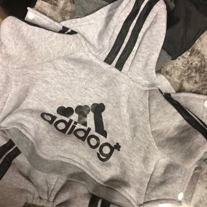 Adidog sweatsuit